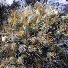 P1016055