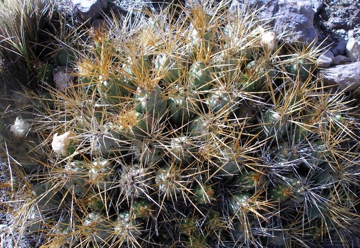 P1016055