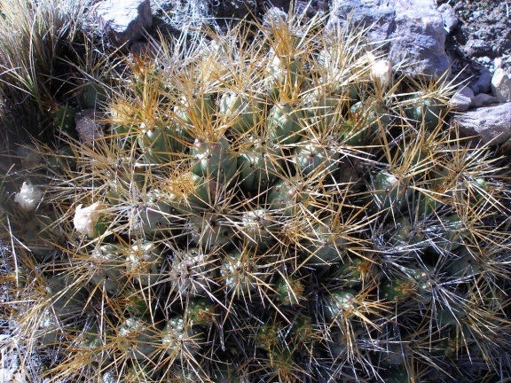 P1016055