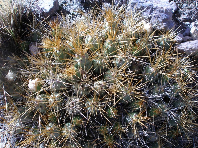 P1016055