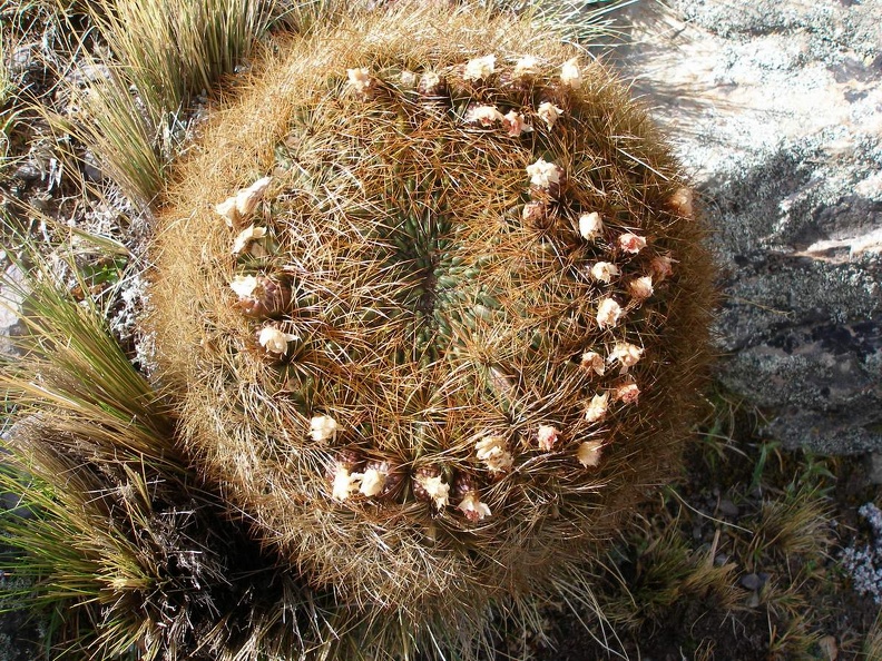 P1016057