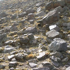 P1016058