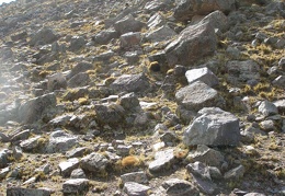 P1016058