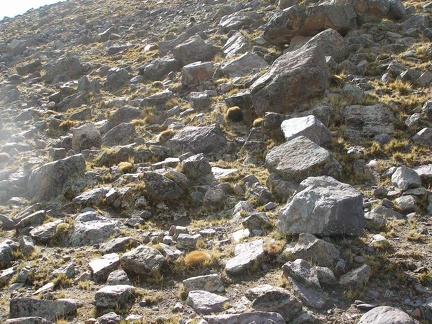 P1016058