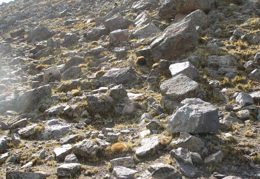 P1016058