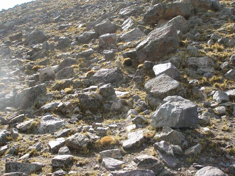 P1016058