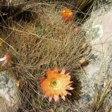 P1016061