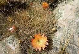 P1016061
