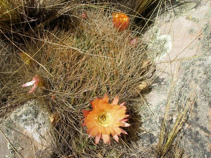 P1016061