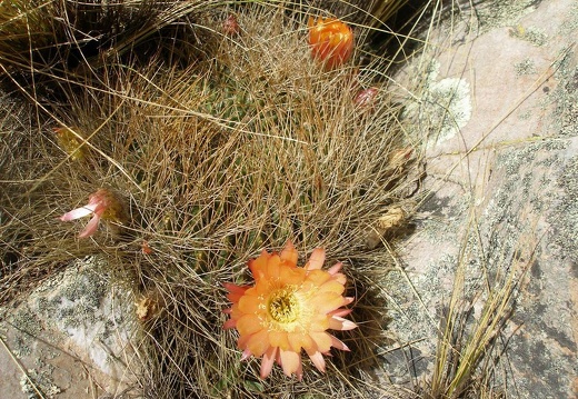 P1016061
