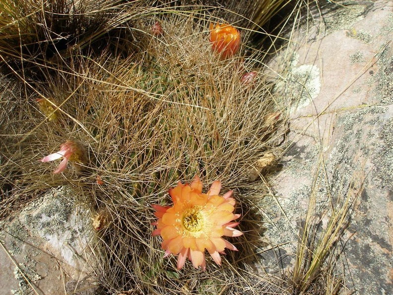 P1016061