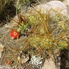 P1016062