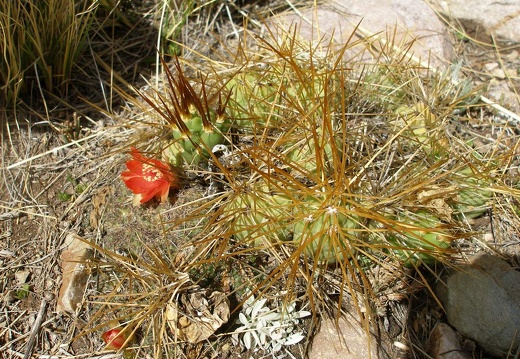 P1016062