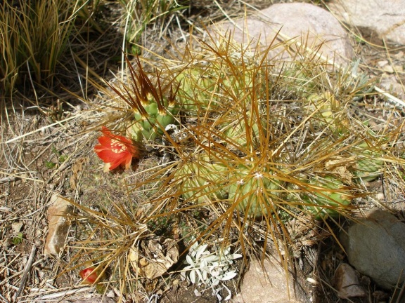 P1016062