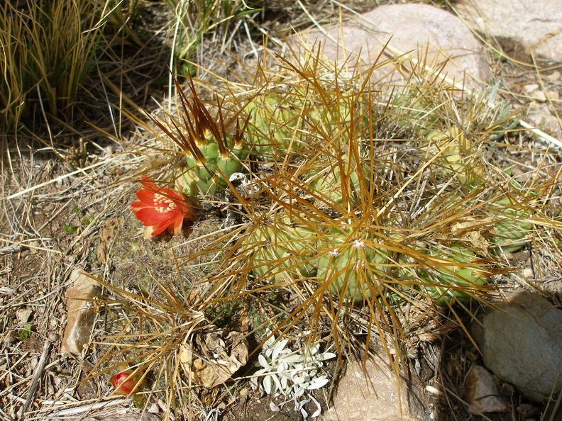 P1016062