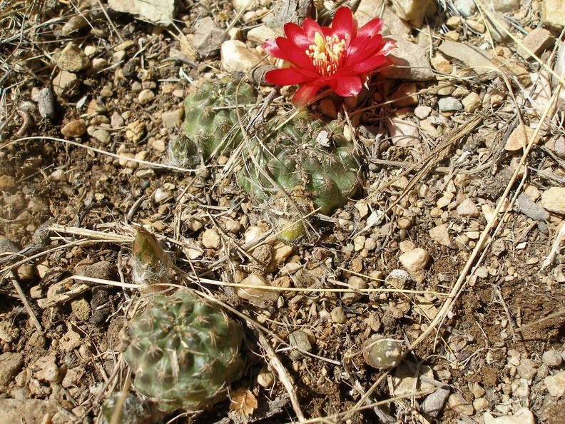 P1016063