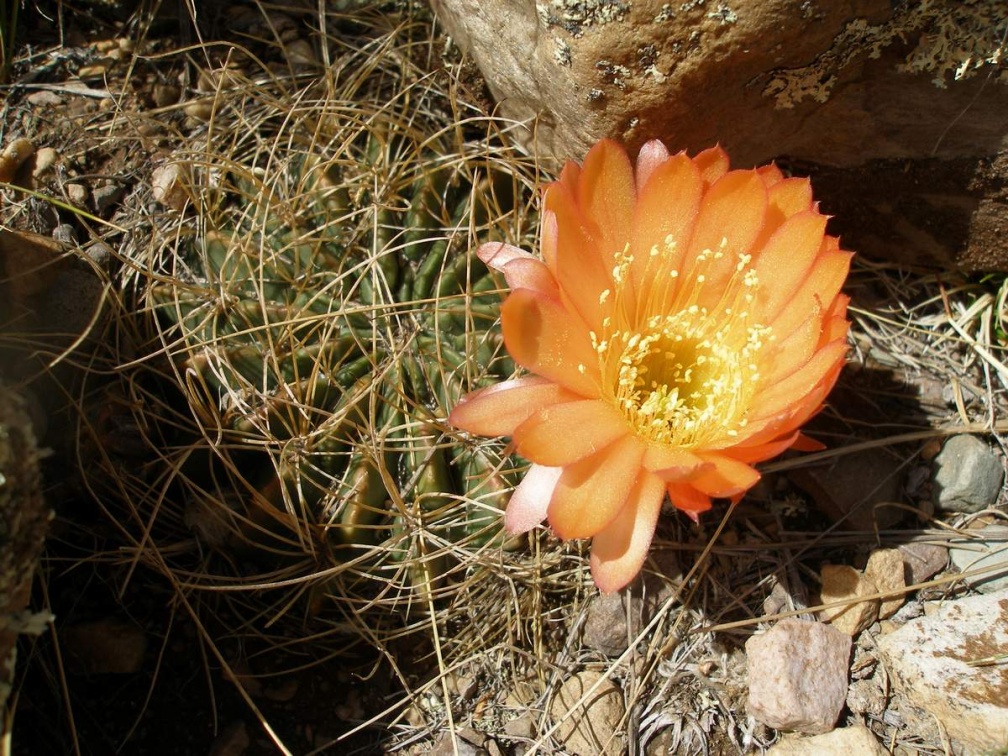 P1016064