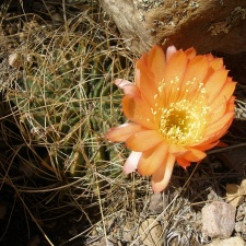 P1016064