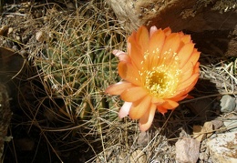 P1016064