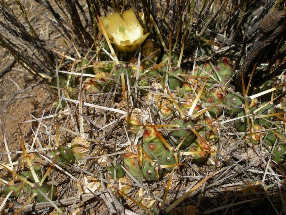 P1016074