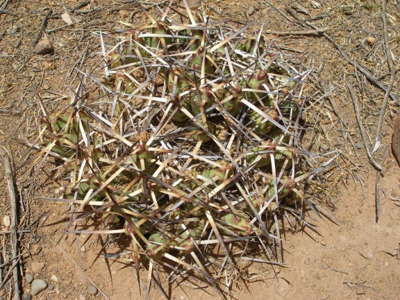 P1016075
