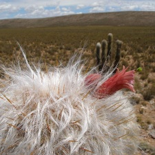 P1016076