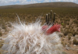 P1016076