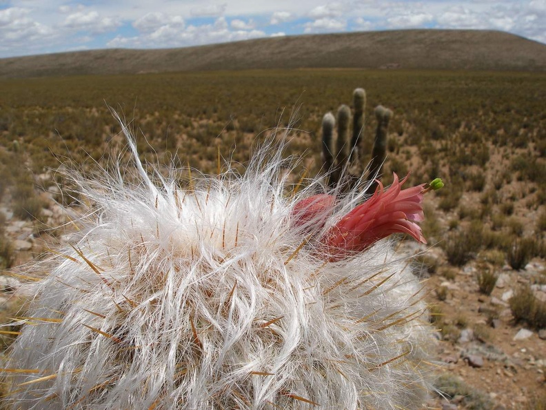 P1016076