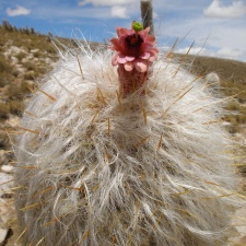 P1016077