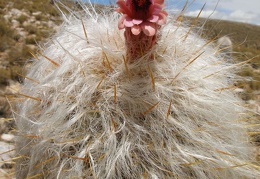 P1016077