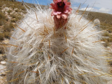 P1016077