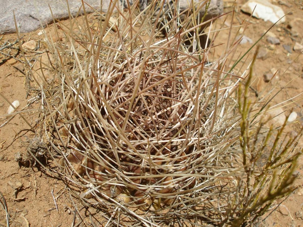 P1016080