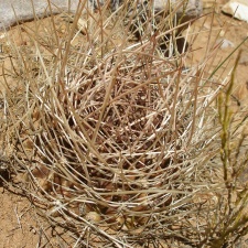 P1016080
