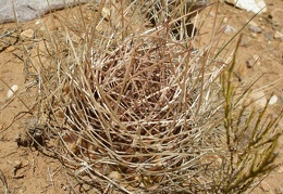 P1016080