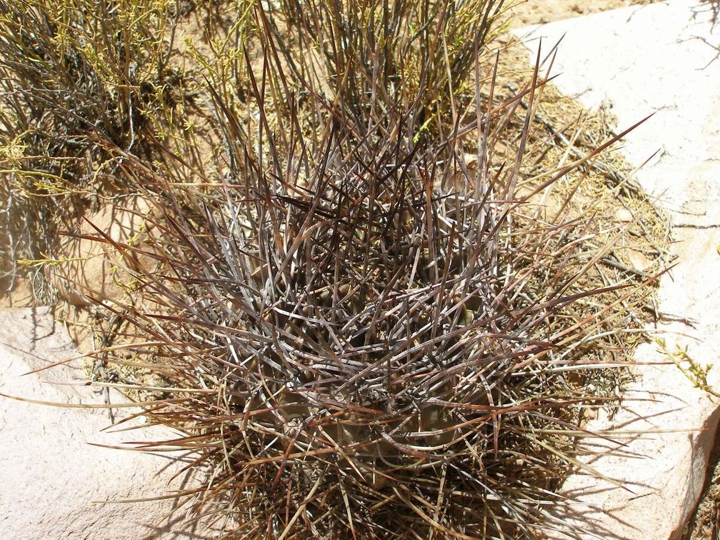 P1016081