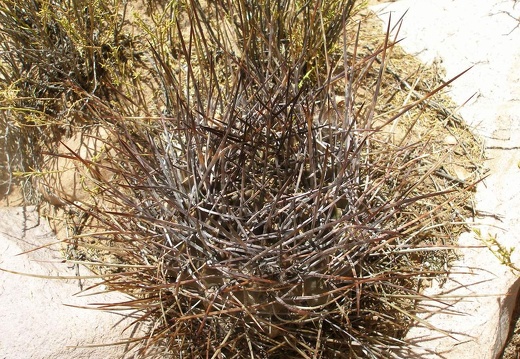 P1016081