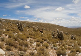 P1016083