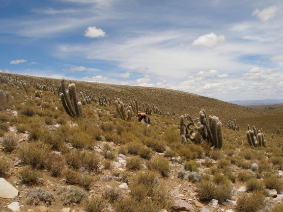 P1016083