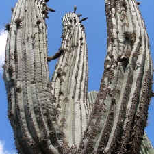P1016112
