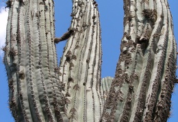 P1016112