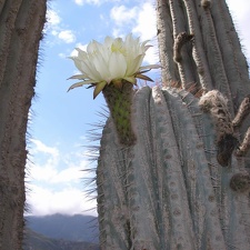 P1016116