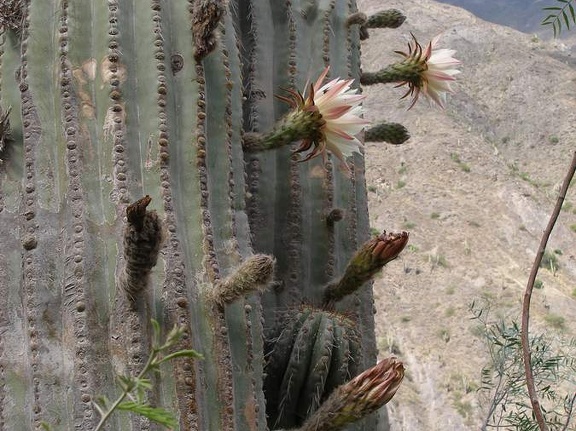 P1016118