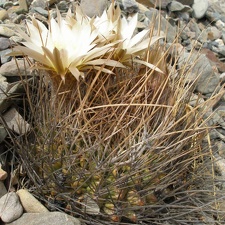 P1016119