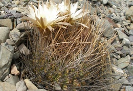 P1016119