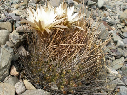 P1016119