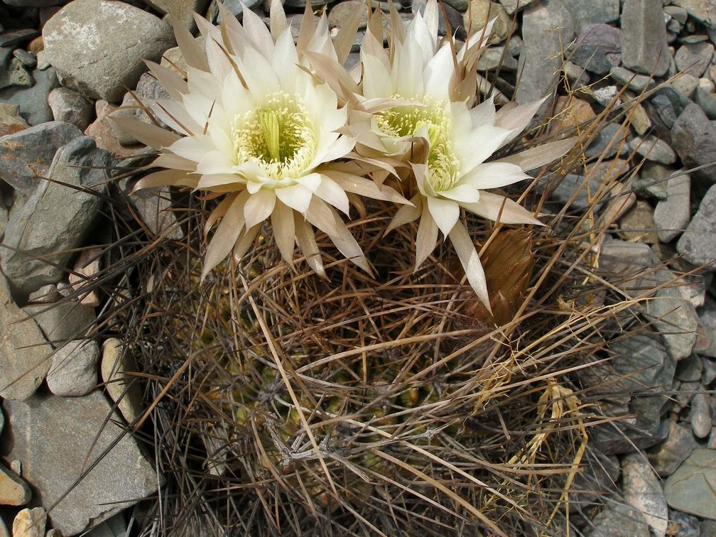 P1016120