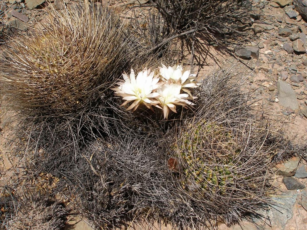 P1016122