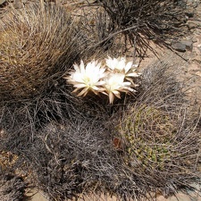 P1016122