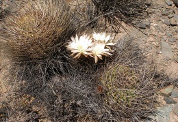 P1016122