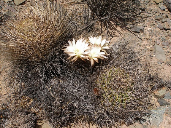 P1016122